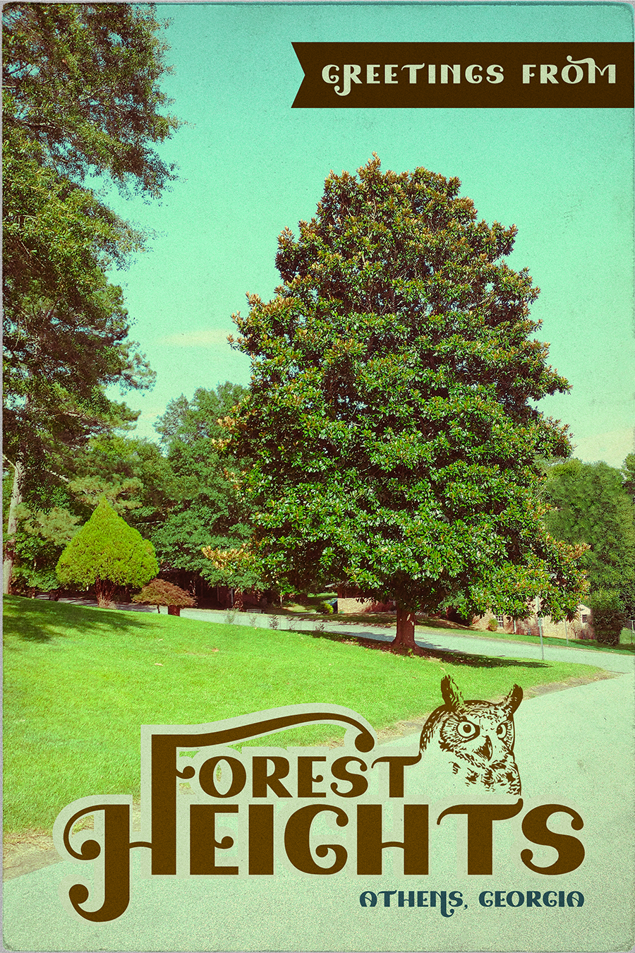Greetings from Forest Heights