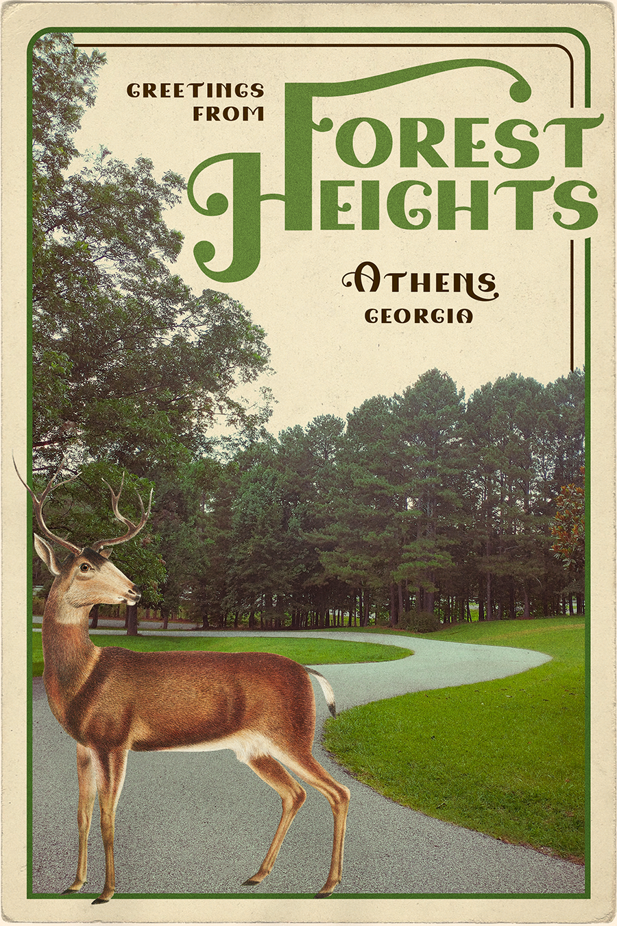 Greetings from Forest Heights