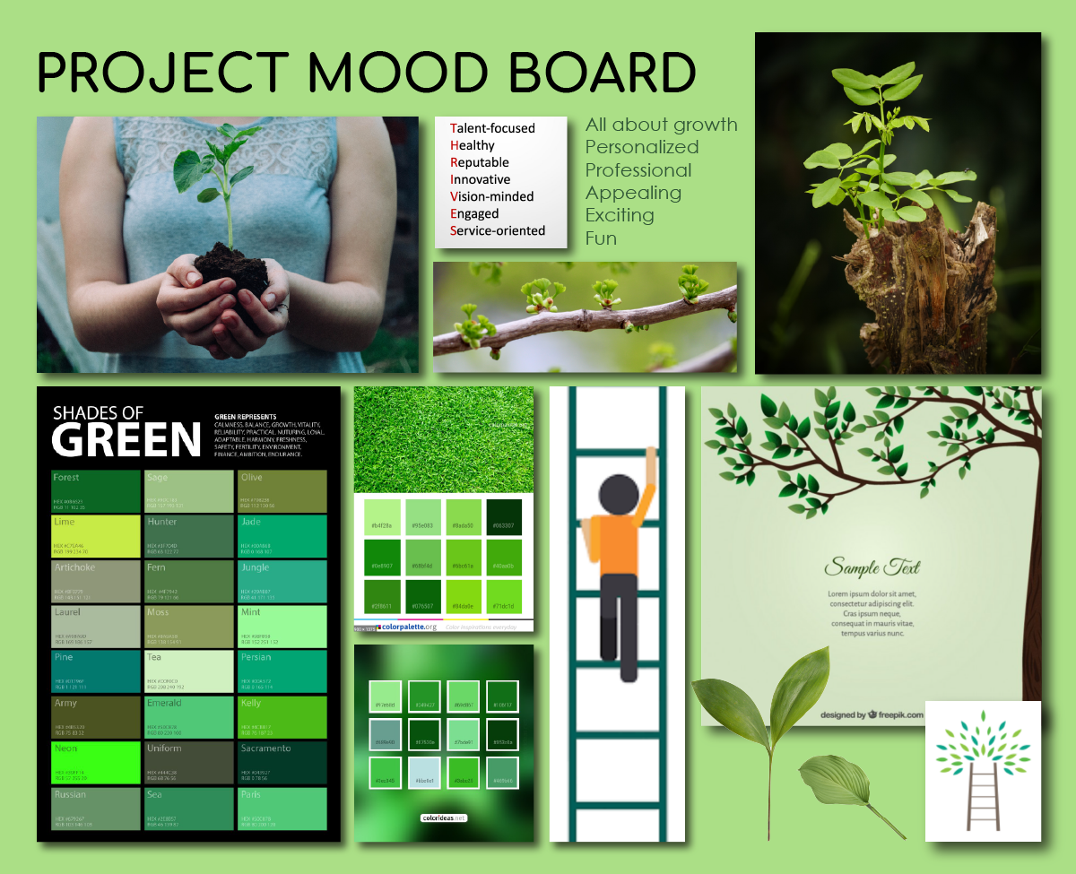 A mood board with green color palettes and tree imagery