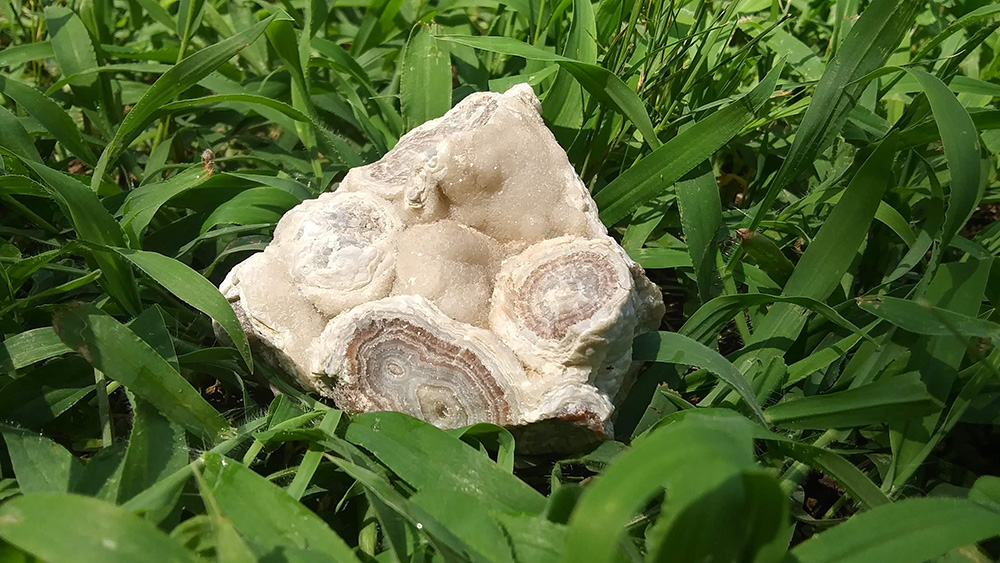 Summerville lace agate