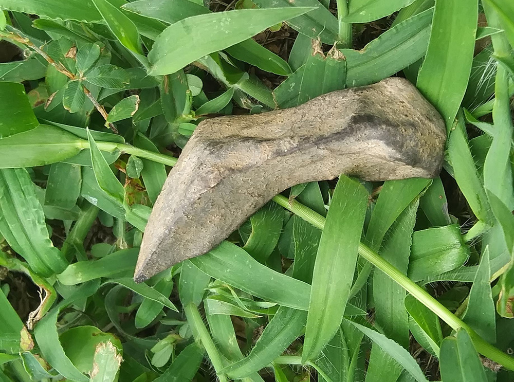 A mystery rock that could be an ancient tool