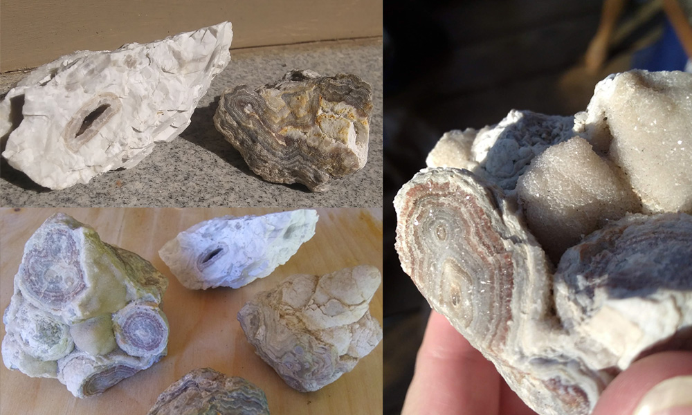 Summerville Crazy Lace Agate specimens