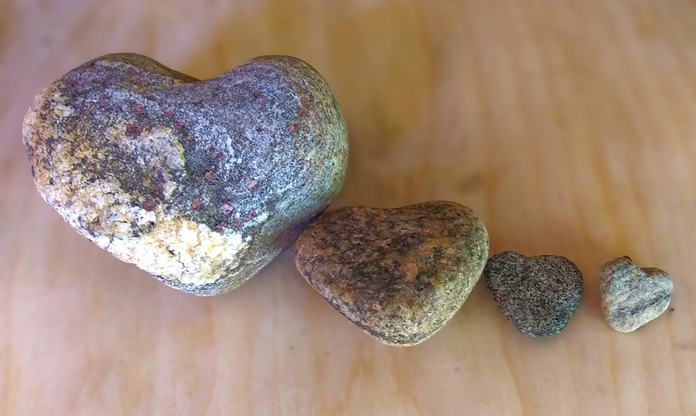 Four heart-shaped rocks lined up horizontally from largest to smallest